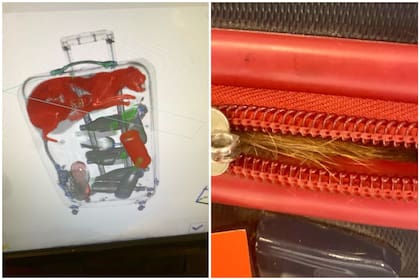 La maleta de un viajero tenía algo inédito adentro y la explicación que brindó dejó a todos atónitos