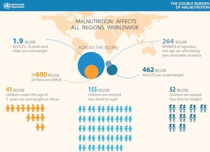 La malnutrición afecta a todos los países del mundo (X / @WHO)