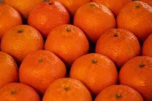 La mandarina resalta como un valioso soporte para el bienestar integral