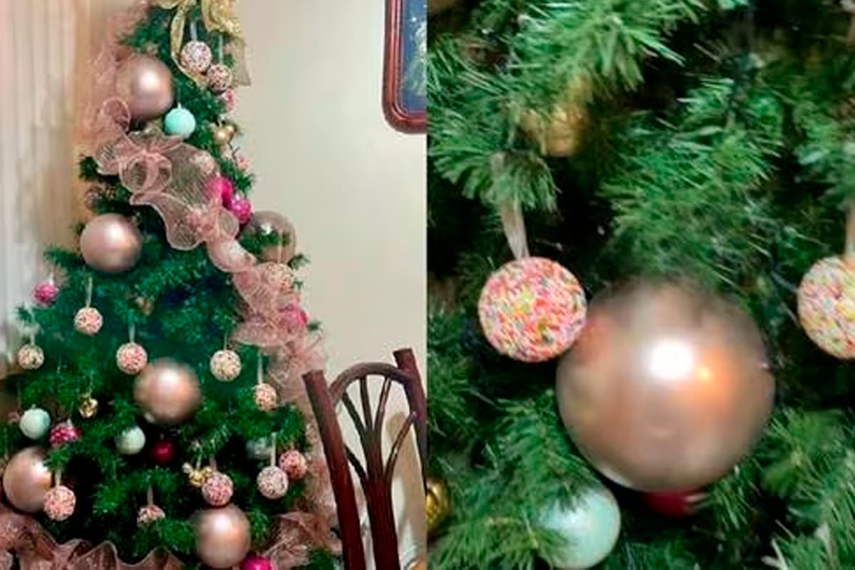 La manera única en que una usuaria de internet adornó su árbol de Navidad