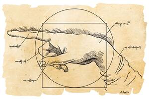 La mano, según Leonardo