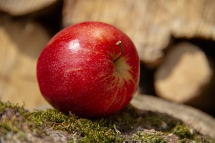 La manzana ayuda a eliminar restos de comida y a regular el pH de la boca