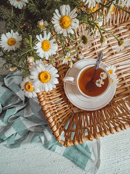 La manzanilla es comúnmente consumida como infusión