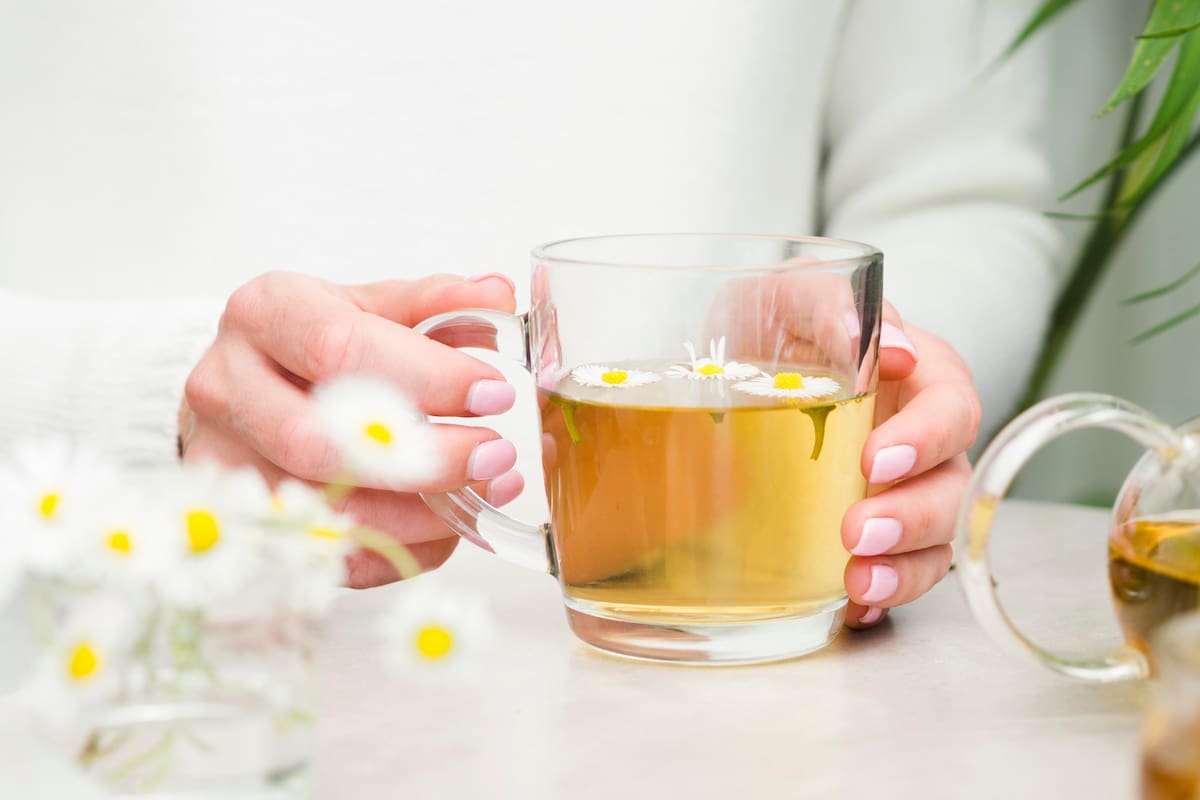 La manzanilla es una de las hierbas medicinales más populares gracias a sus múltiples beneficios para la salud (Foto de carácter ilustrativa: Freepik)