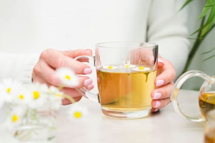 La manzanilla es una de las hierbas medicinales más populares gracias a sus múltiples beneficios para la salud (Foto de carácter ilustrativa: Freepik)