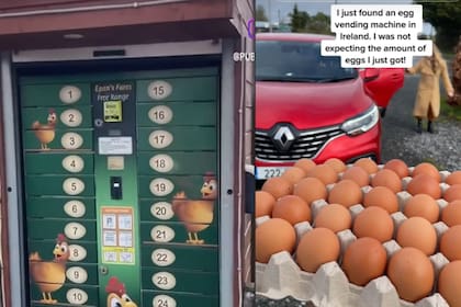 La máquina expendedora de huevos que causó furor en las redes sociales