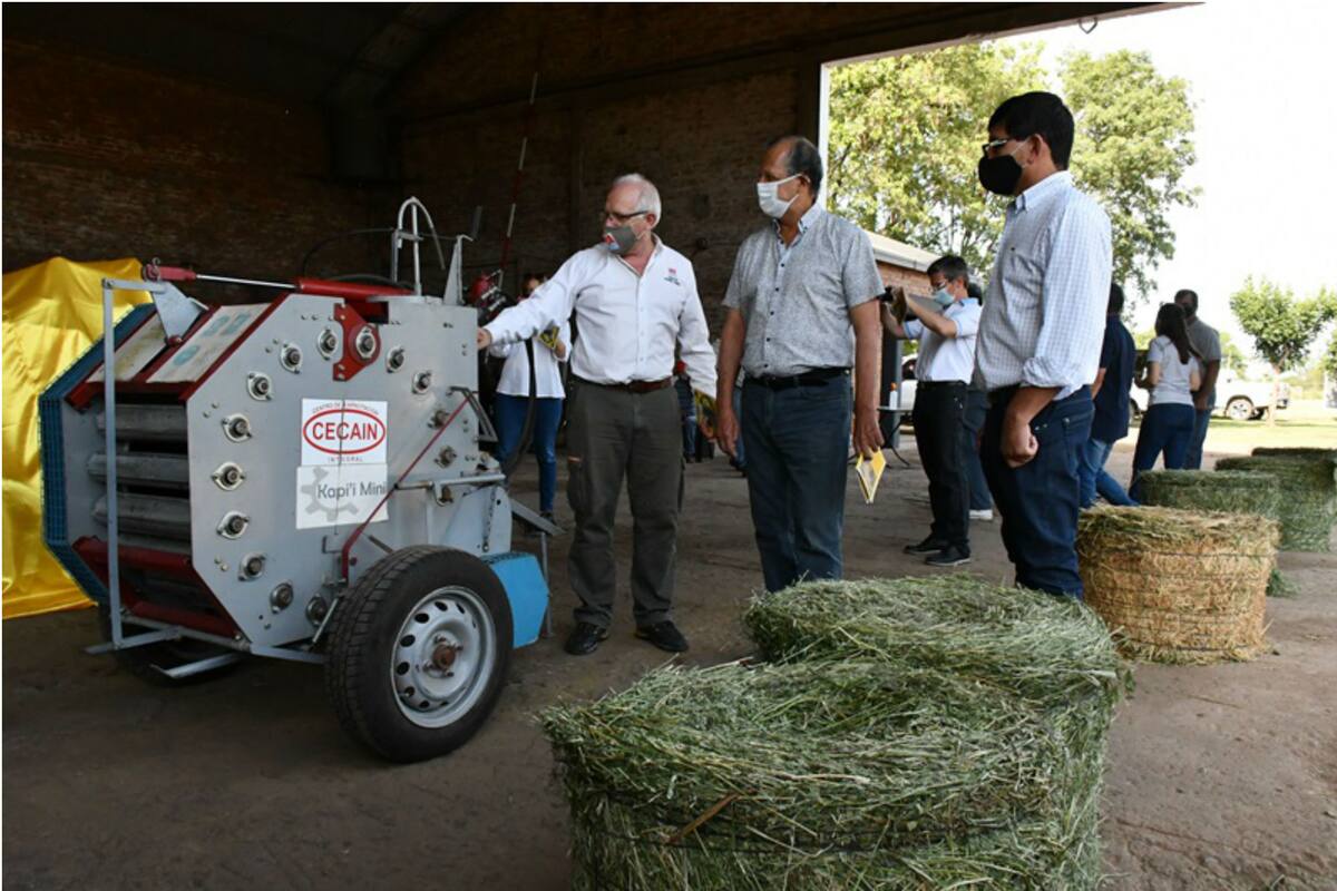 La maquinaria, que llevó tres años de desarrollo, tiene un menor costo económico, preserva la salud del operario y fue diseñada especialmente para pequeños productores de la agricultura familiar