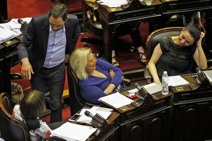 La maratónica sesión por la ley de emergencia económica