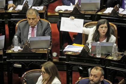 La maratónica sesión por la ley de emergencia económica
