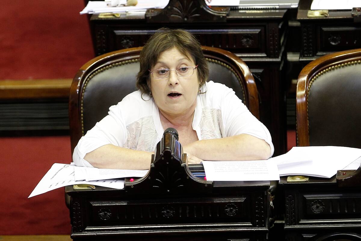 La maratónica sesión por la ley de emergencia económica