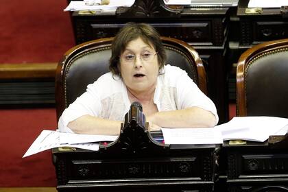 La maratónica sesión por la ley de emergencia económica