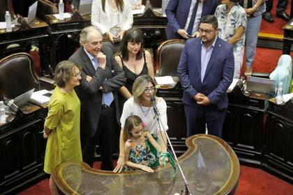 La maratónica sesión por la ley de emergencia económica comenzó con la jura de algunos diputados