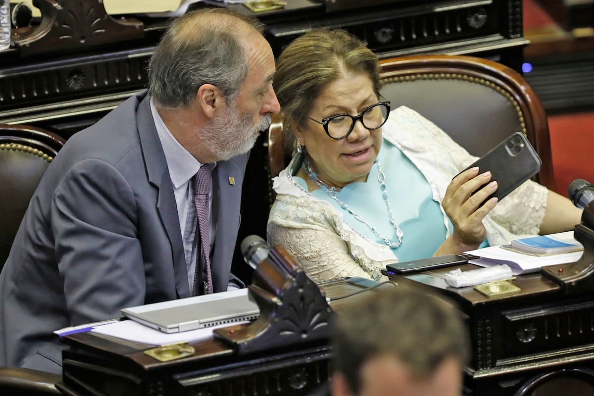 La maratónica sesión por la ley de emergencia económica