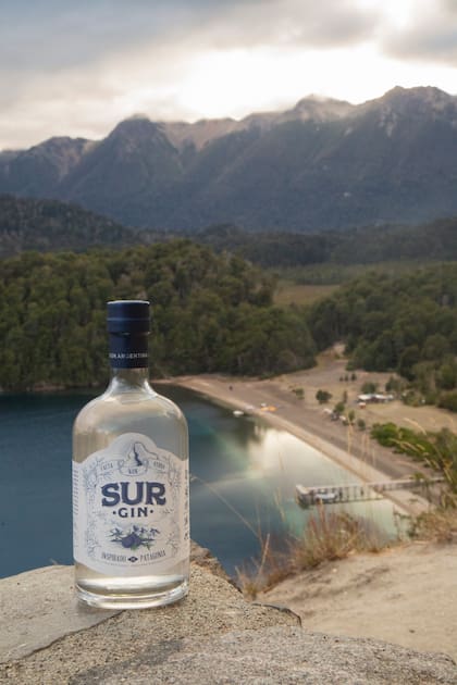 La marca fue distinguida entre más de 1400 etiquetas provenientes de 35 países (Foto: Gentileza Sur Gin)