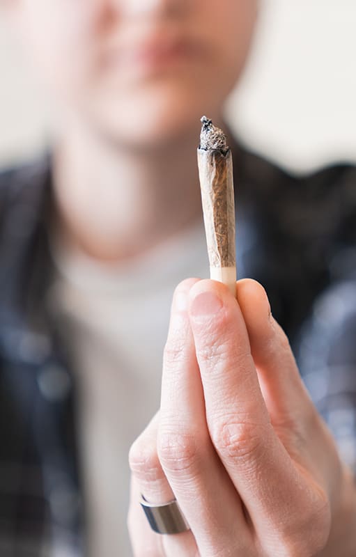 La marihuana aparece como la droga ilícita de mayor consumo en el país