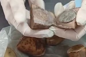 La marihuana estaba en bolsas de plástico escondidas dentro de papas