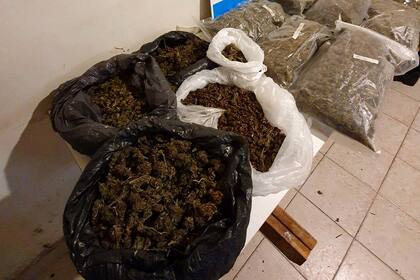 La marihuana secuestrada por la Policía de la Ciudad