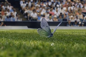 Wimbledon abre la temporada de césped con una pieza cinematográfica que celebra la belleza y la batalla del tenis