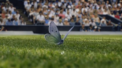 La mariposa Holly Blue, protagonista de la campaña de comunicación de Wimbledon