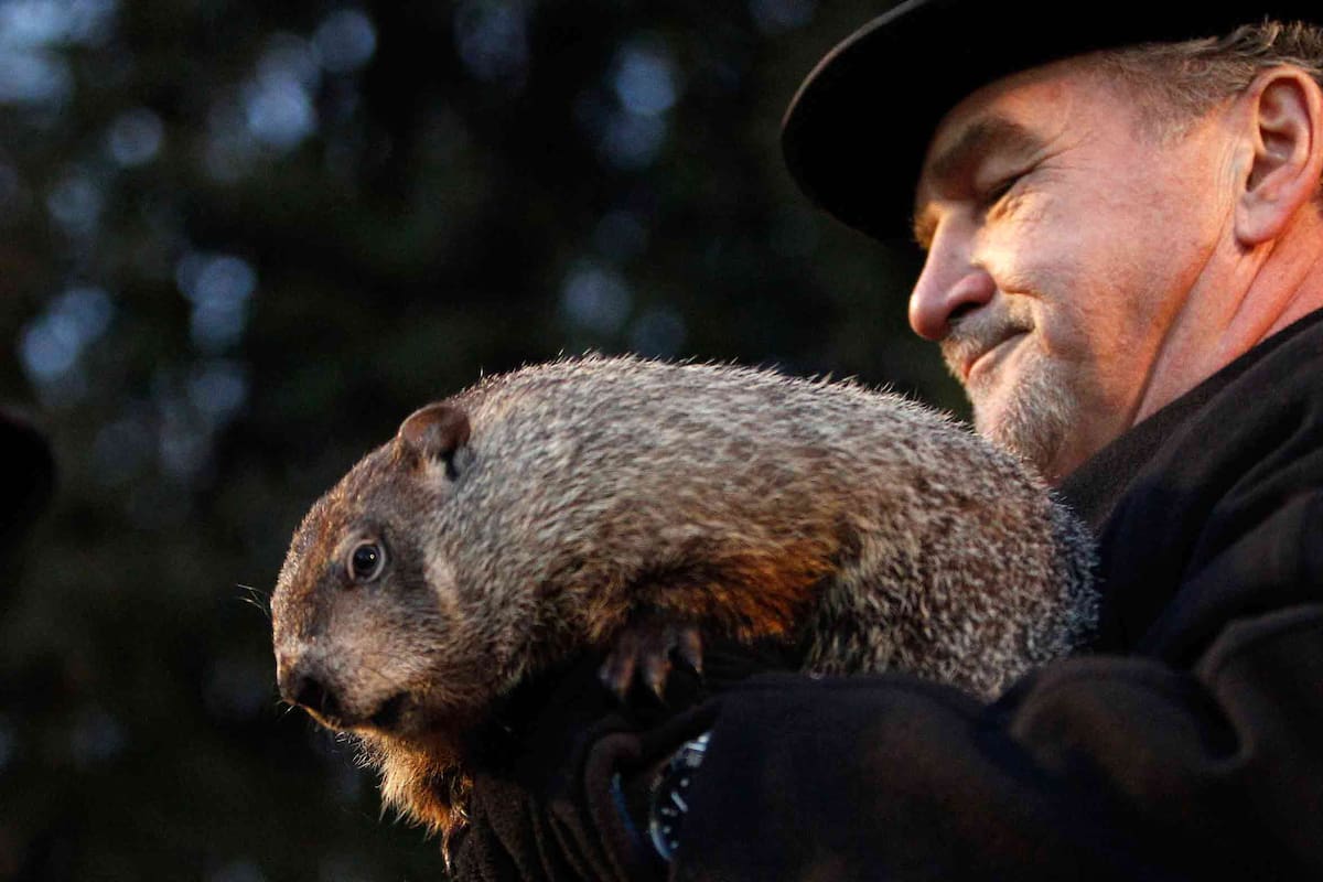 La marmota es la estrella del día en los Estados Unidos