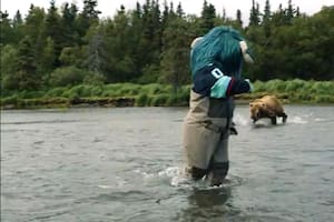 La mascota estuvo de frente al oso durante la grabación de una campaña; ninguno de los asistentes ni el animal salieron heridos (Captura de pantalla X/@SEAbuoy)