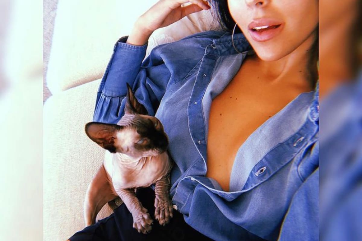 La mascota fue trasladada a la casa de la hermana de la modelo. Crédito: Instagram