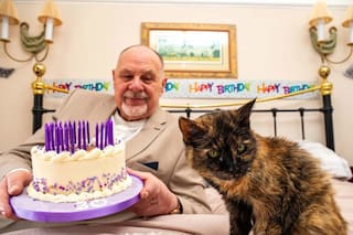 Así es Millie, la gata de 31 años que podría ser la más longeva del mundo