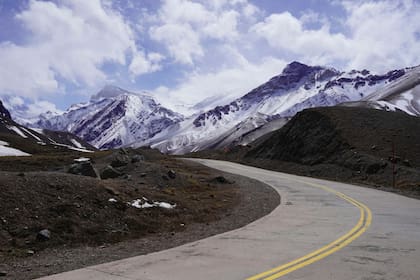 La mashua negra es originaria de las los Andes de Sudamérica