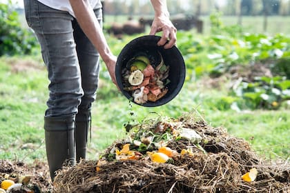 La materia orgánica no desaparece cuando deja de ser útil en la cocina; puede seguir aportando al ciclo natural del jardín