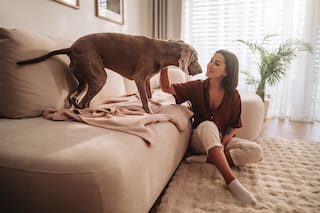 El pedido de los inquilinos que cada vez más propietarios tienen que aceptar