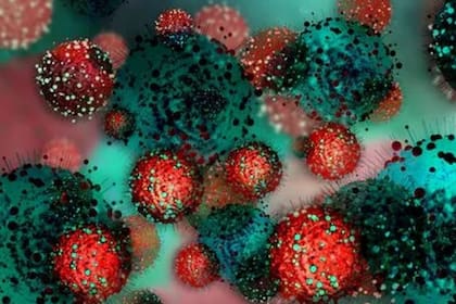La mayoría de las mutaciones del coronavirus no tiene consecuencias sobre el curso de la pandemia
