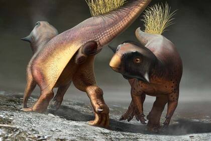 La mayoría de los animales vertebrados tiene cloaca
