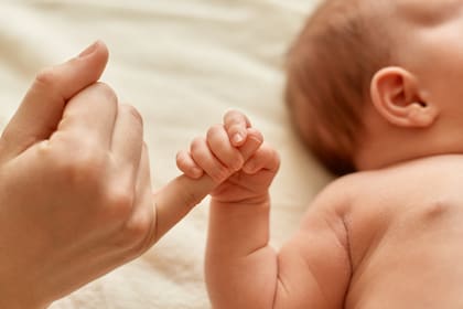 La mayoría de los pacientes busca recuperar la fertilidad tras formar nuevas parejas