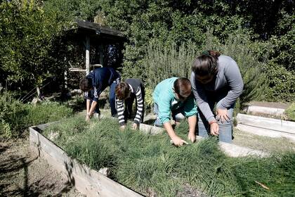 La mayoría de los voluntarios tienen menos de 19 años