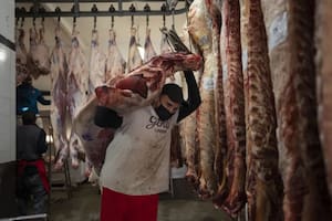 La media res, una pesada carga para los operarios