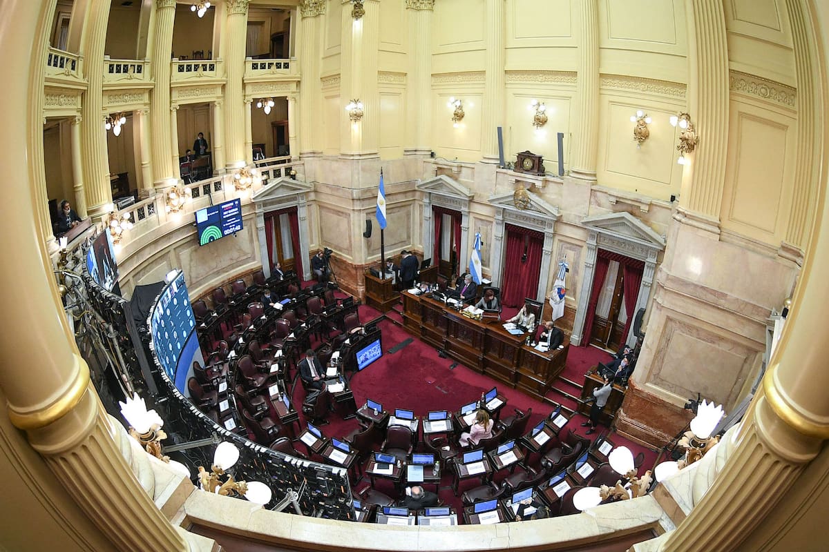 La media sanción fue por unanimidad