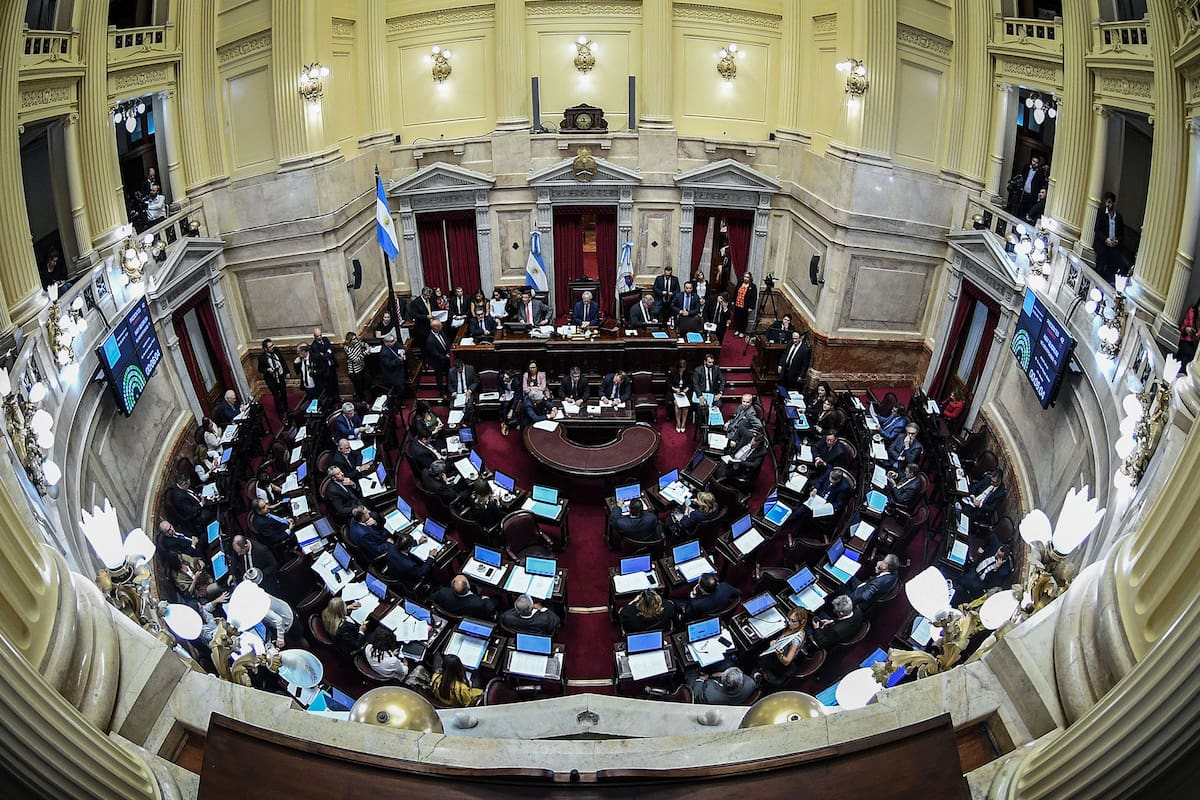 La media sanción se votó por unanimidad.