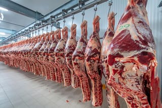 Opinión: hoy es la carne…mañana veremos qué