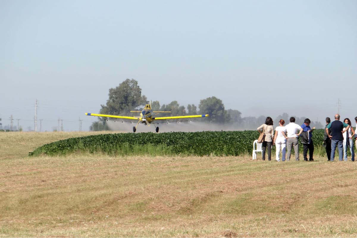 La medida cautelar también prohíbe el uso de los aviones pulverizados en las zonas cercanas a las áreas urbanas