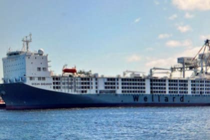 La medida debería ser acompañada por el establecimiento de protocolos sanitarios con los países compradores que faciliten la comercialización de ganado pie