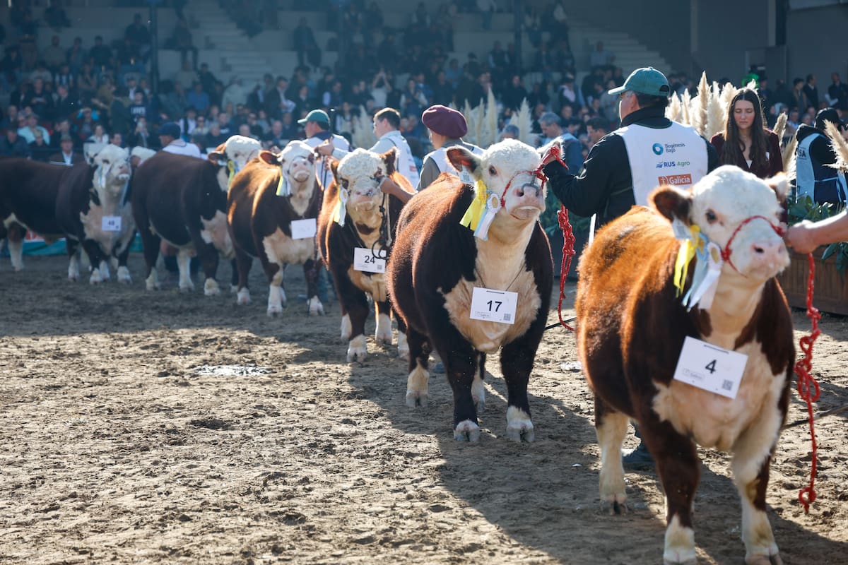 La medida del Senasa ya se había aplicado para la exposición ganadera de la Rural y ahora se extiende a todas las ferias del país
