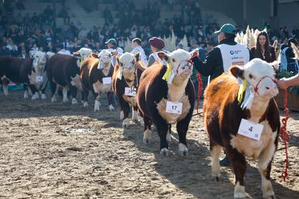 La medida del Senasa ya se había aplicado para la exposición ganadera de la Rural y ahora se extiende a todas las ferias del país