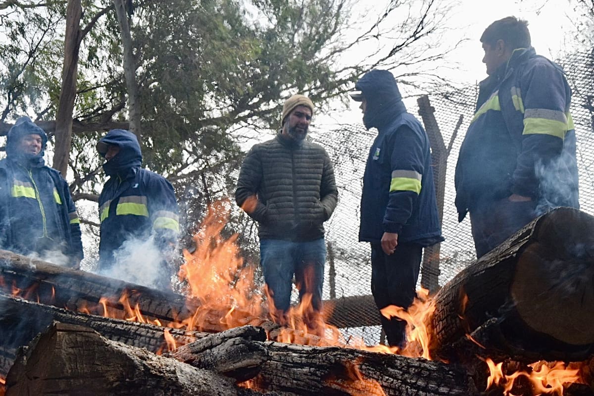 La medida en las terminales cerealeras del Gran Rosario entrará este viernes en su cuarto día