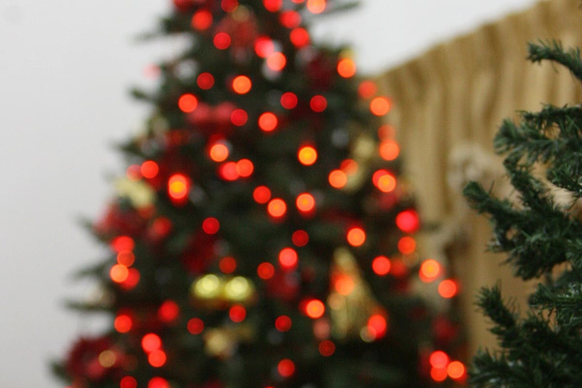 La medida está destinada al personal de la administración pública nacional