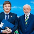 Los exportadores dicen que la Argentina se quedó, por una ley, “en el banco de suplentes” mientras Brasil acaba de tener un importante avance
