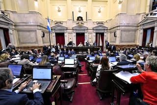 Revuelo en el Senado porque Michetti prohibió canjear los pasajes por dinero