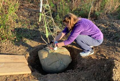 La mejor época para plantar árboles es el otoño, el invierno cuando la tierra no está congelada y a principios de la primavera