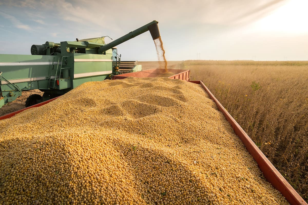 La mejora del precio de la soja impulsó las ventas de los productores en los últimos días