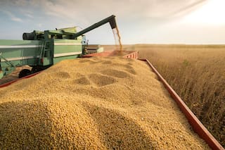 Se aceleraron las ventas de soja y todavía quedan US$11.000 millones en grano por comercializar