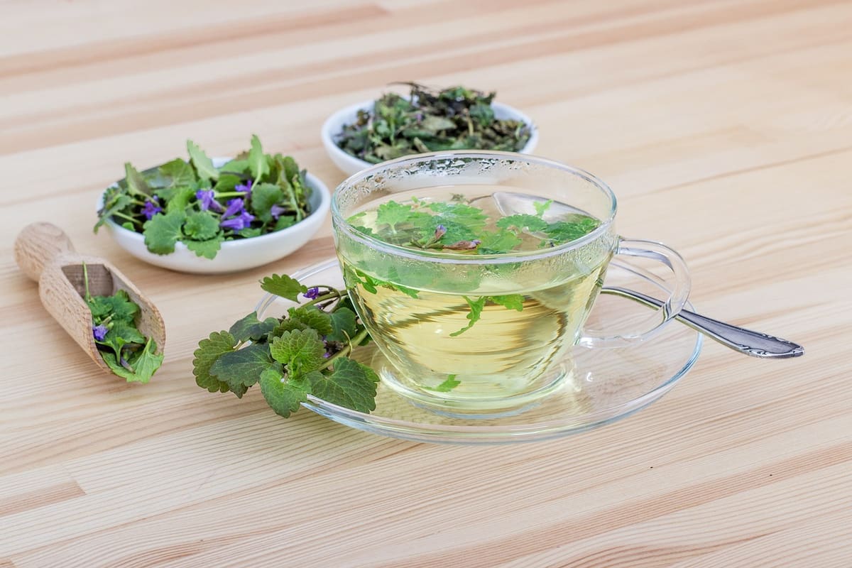 La melisa huele a limón y es ideal para combatir el insomnio, el estrés y la ansiedad (Foto ilustrativa: PIXABAY)